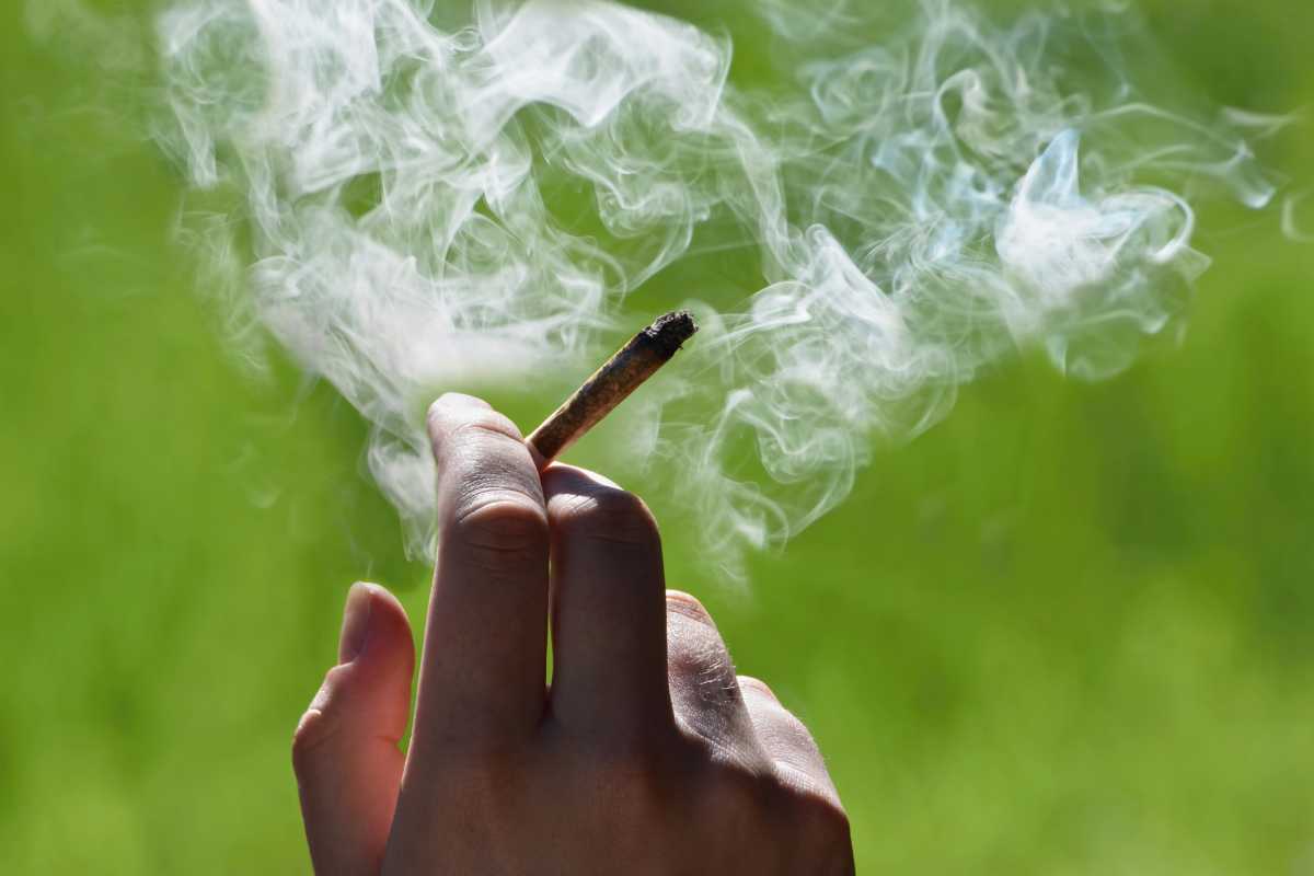 20 Ways to Spend 4/20 Weekend in New York City